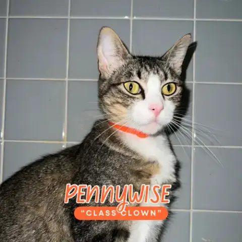 Pennywise