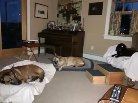 Max