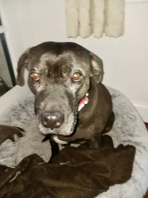 Bonnie