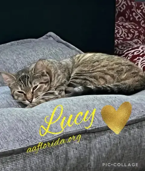 Lucy photo 3