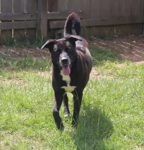 Marla photo 4