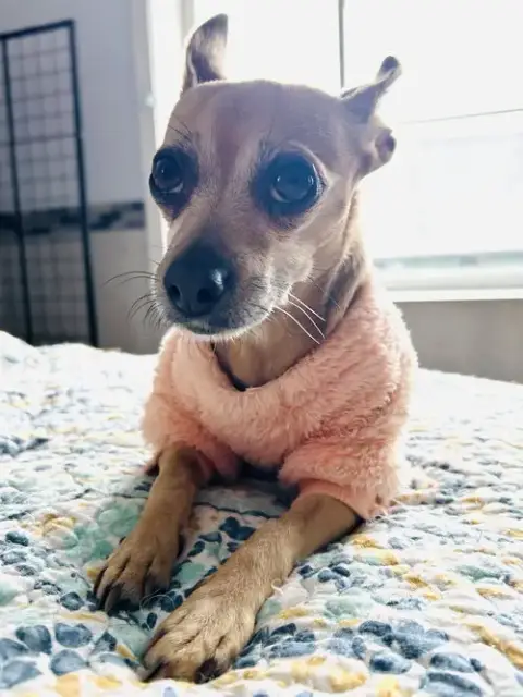 Precious photo 4