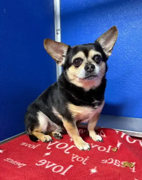 Chalupa photo 2