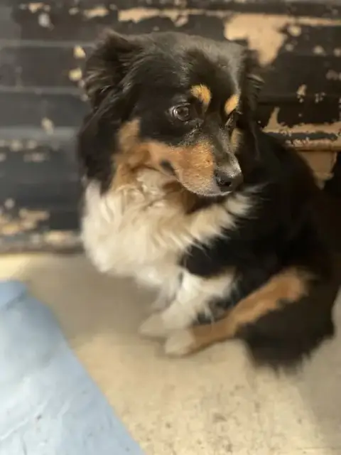 Marley
