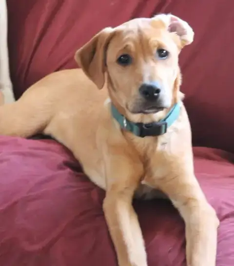 Theodore photo 4