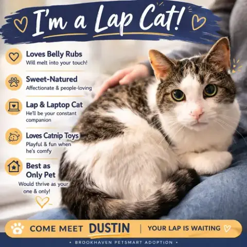 Dustin photo 3