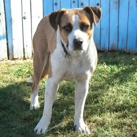 Ruthie photo 4