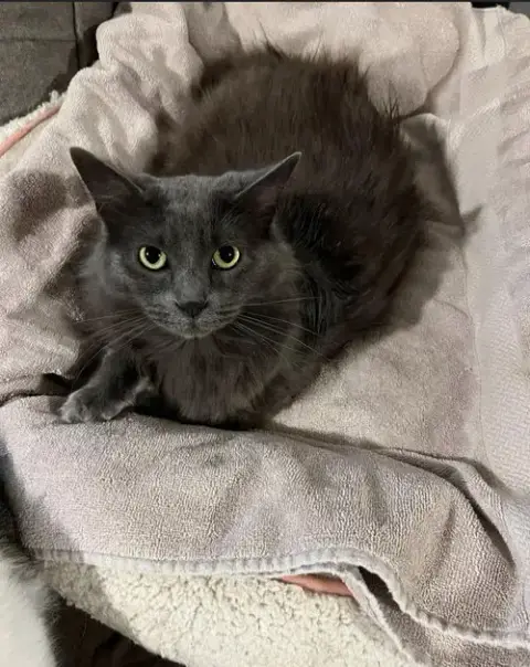 Frankie