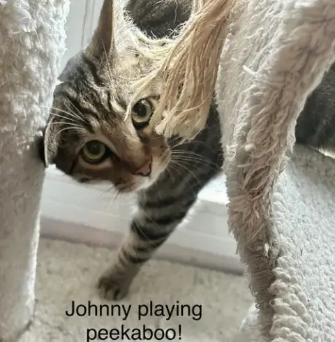 Johnny photo 3