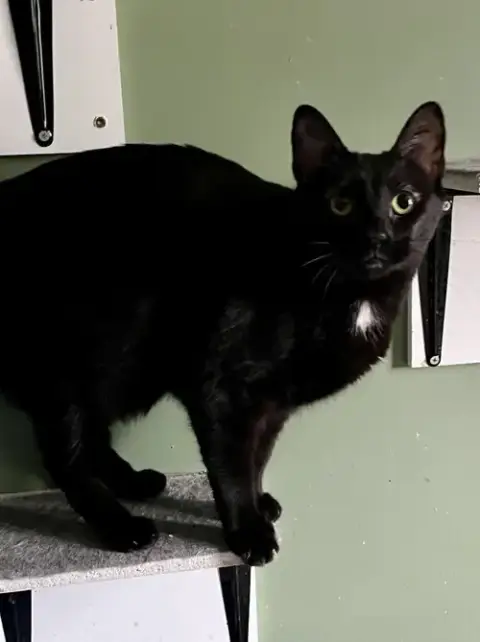 Luna