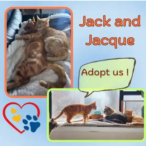 Jack And Jacque