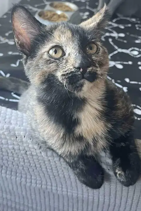 Freya photo 4