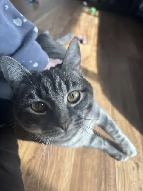 Peaches photo 3