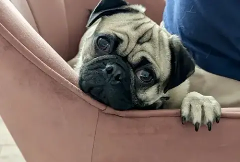 Frank photo 3