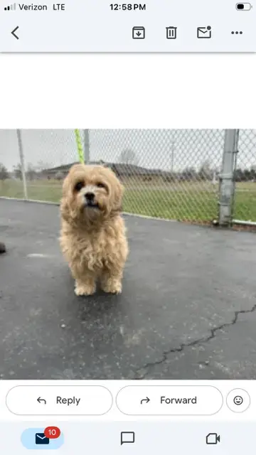 Toby photo 3