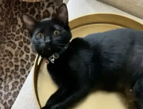 Purretha Franklin photo 3