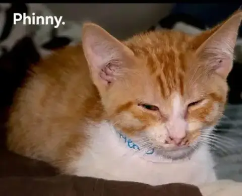 Phinny photo 3