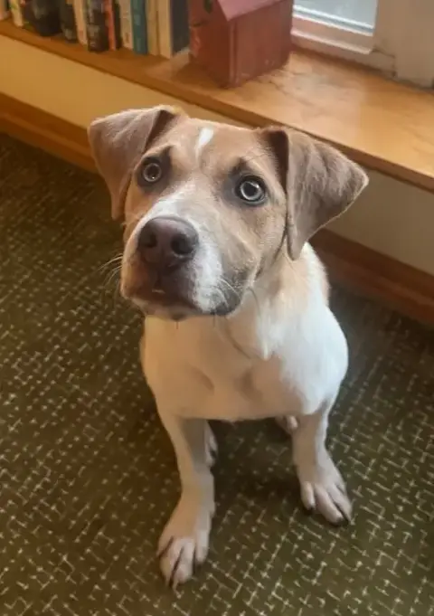 Zeus