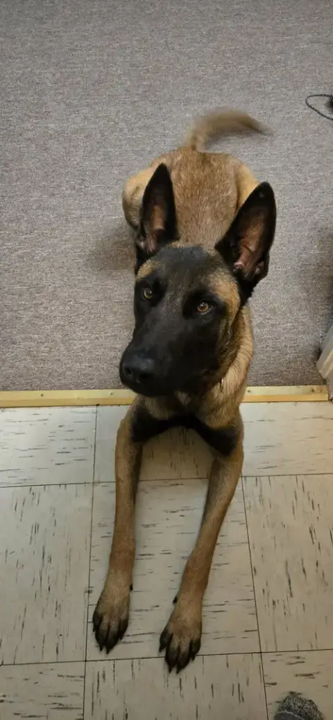 Buddy photo 5