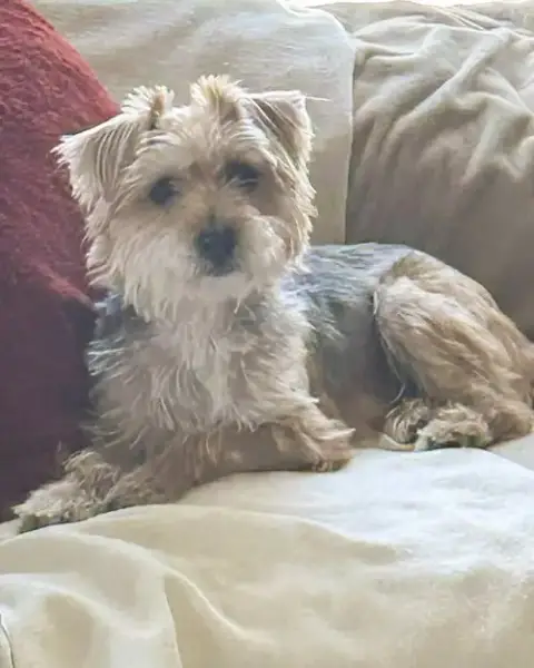 Annie photo 4