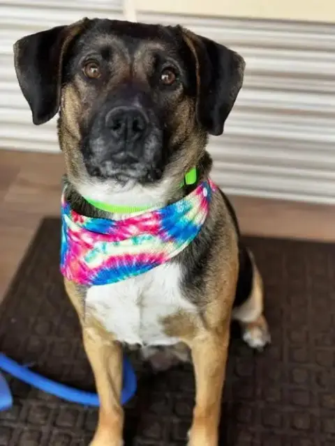 Delilah