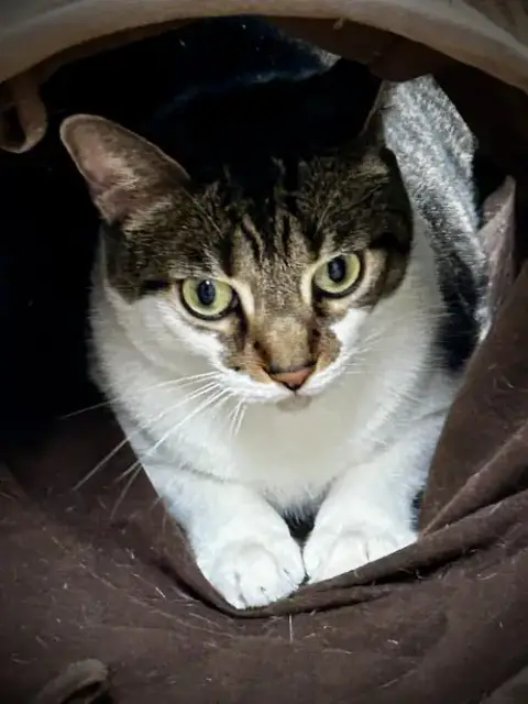 Maro photo 4