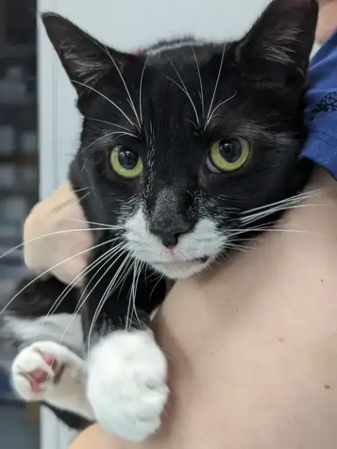 Fiona photo 2