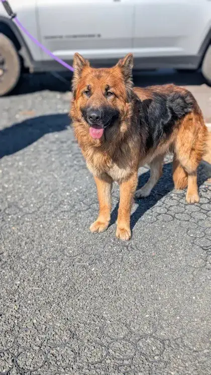 Rusty