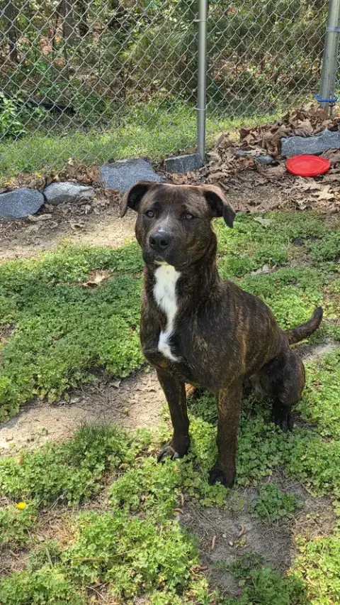 Brandy In Warsaw Va