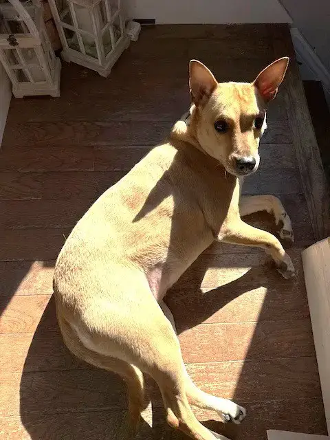 Sadie photo 4