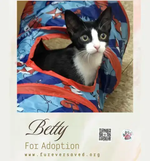 Betty photo 2
