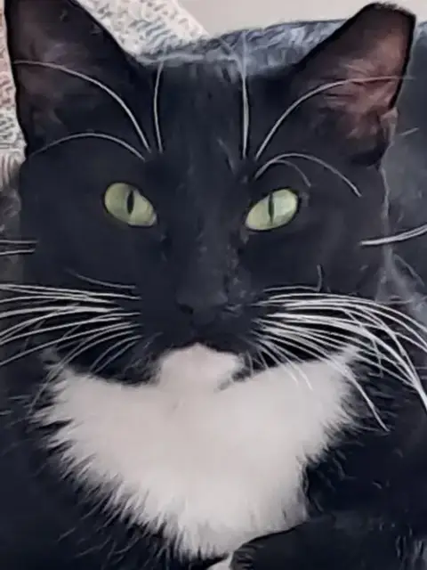Nala photo 2