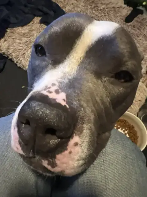 Zeus photo 3