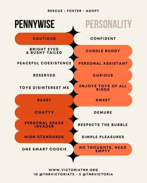 Pennywise photo 4