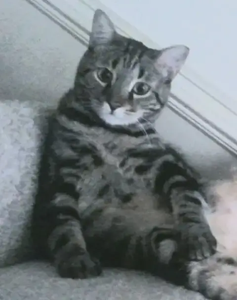Papi photo 3