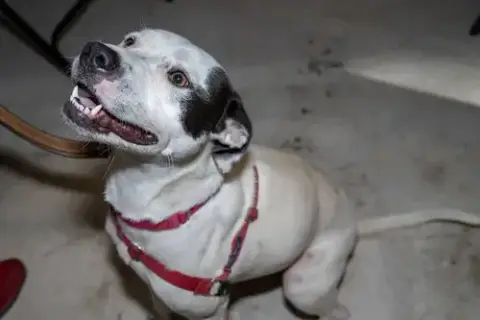 Nellie photo 5