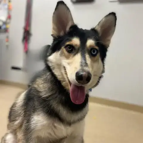 Zeus
