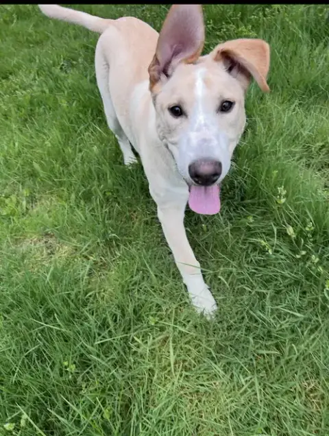 Max