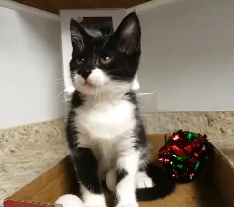 Sandra