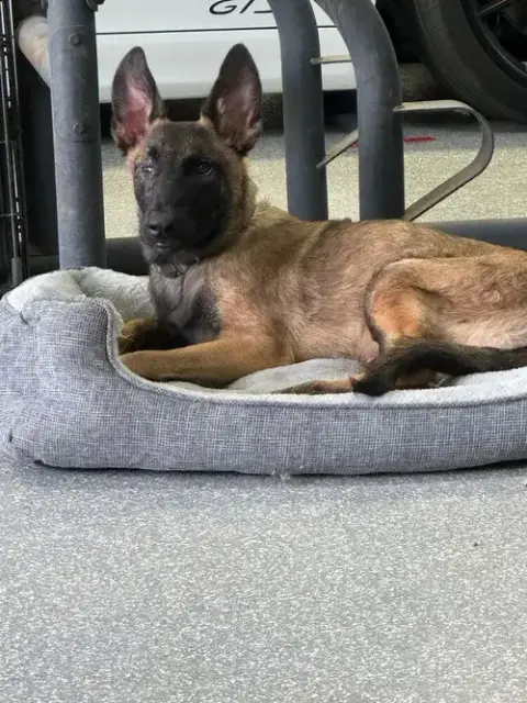 Mateo