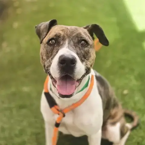 Gwen