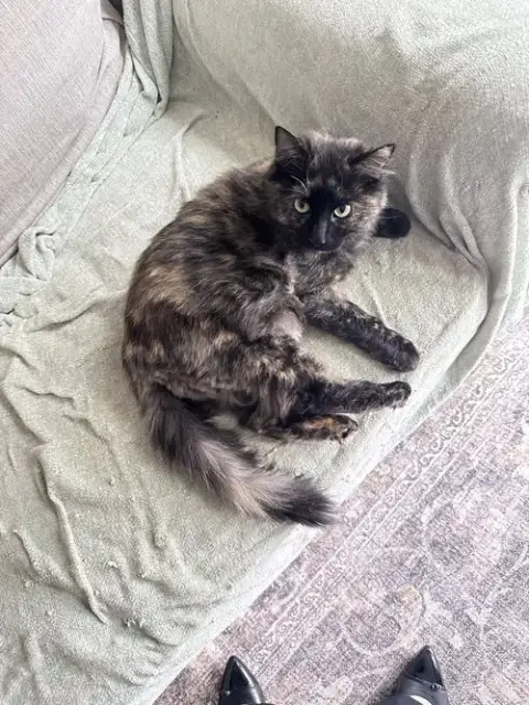 Molly photo 2