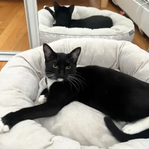 Ophelia And Theo photo 2