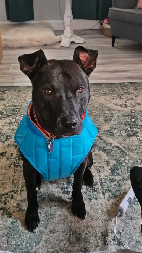 Buddy photo 3