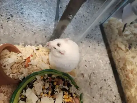 *Relish