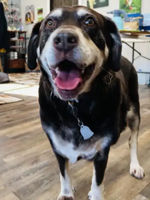 Frankie photo 3