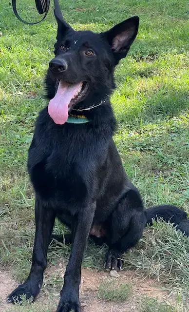 Julio photo 4