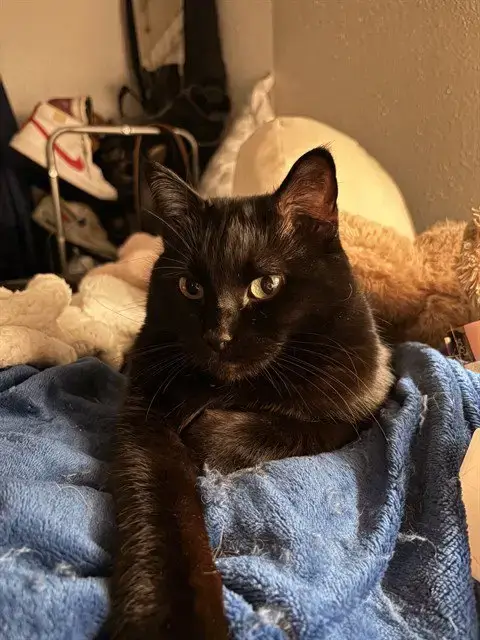 Rita