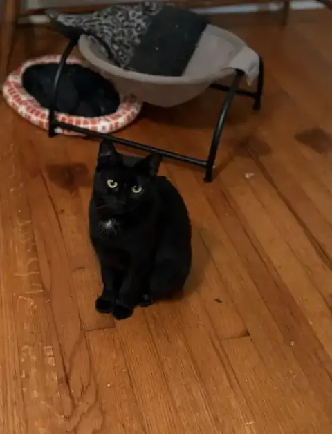 Pepper photo 2