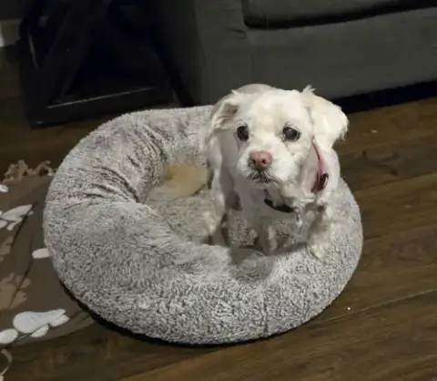 Chloe photo 3